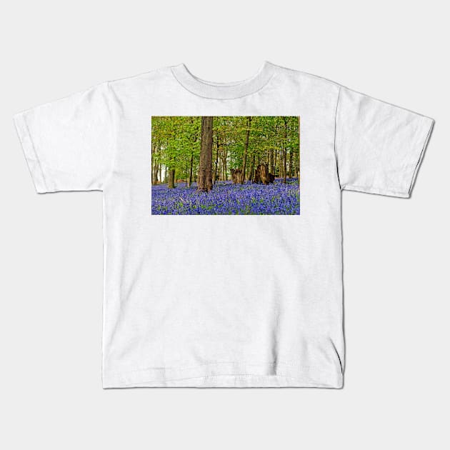 Bluebells Bluebell Woods Greys Court Oxfordshire UK Kids T-Shirt by AndyEvansPhotos